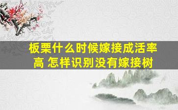 板栗什么时候嫁接成活率高 怎样识别没有嫁接树